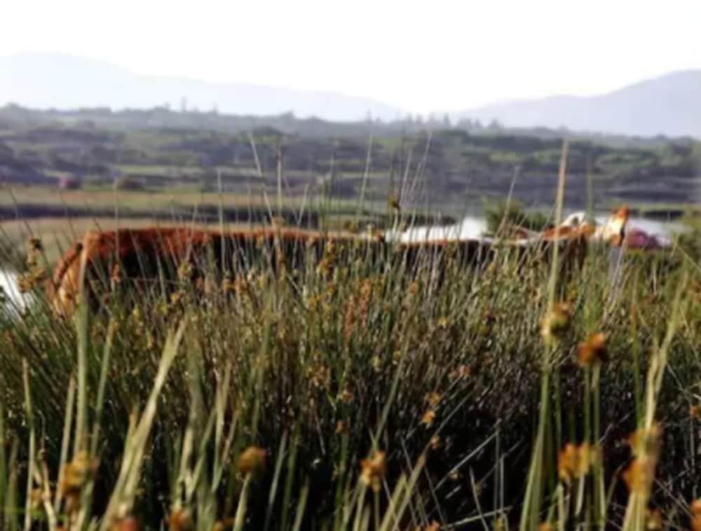 Sneem Hotel מראה חיצוני תמונה